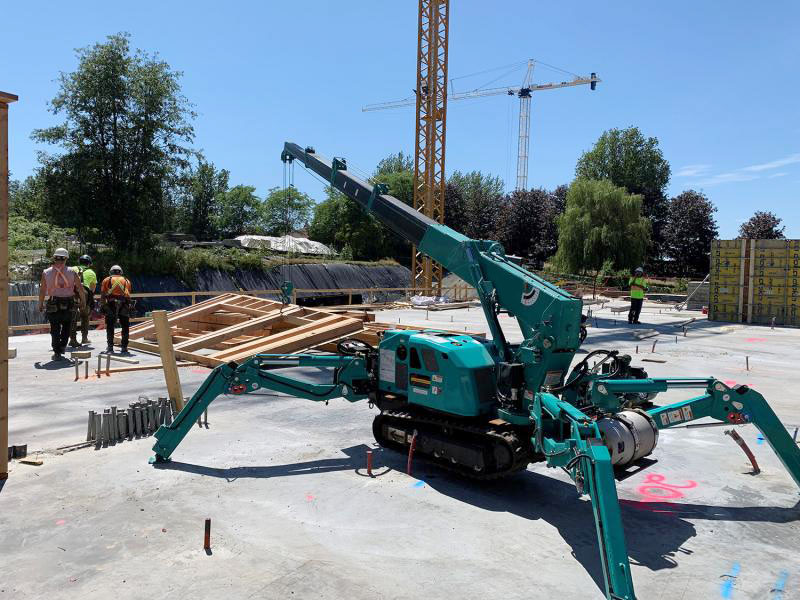 mini grue sur chenilles à vendre