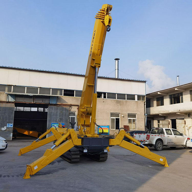 grue sur chenilles à vendre