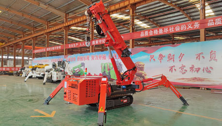 MINI TRACKED CRANE-SS5.0