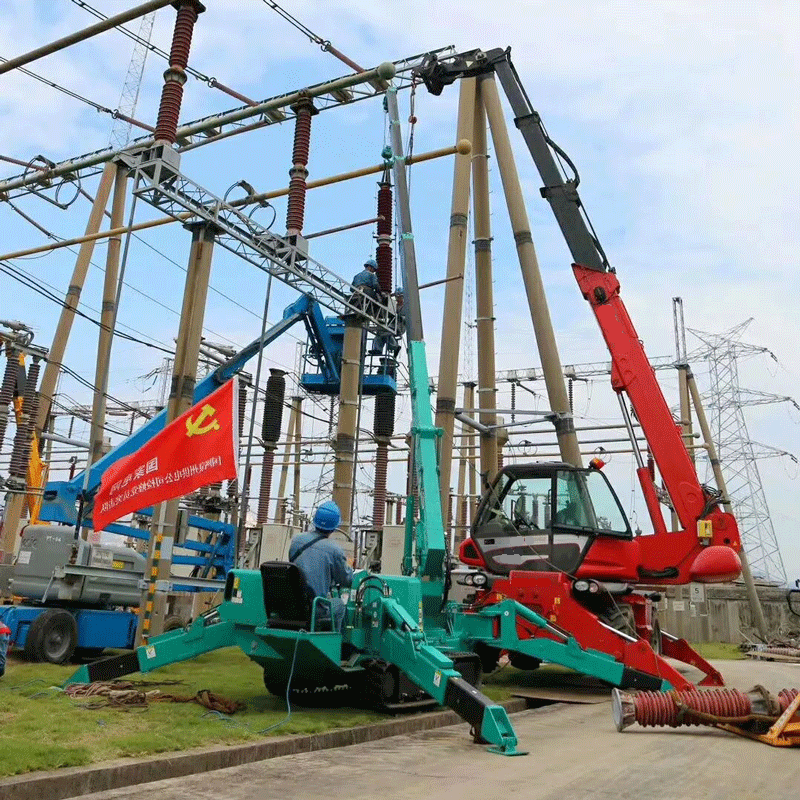 шынжыр табанды өрмекші кран