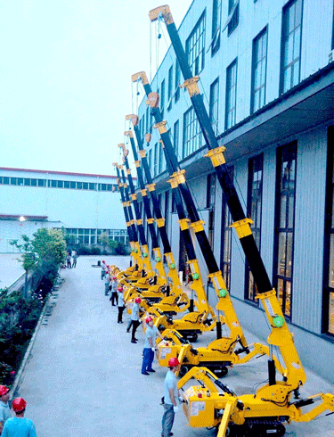 Introduction to Spider Crane Safety Protection Device